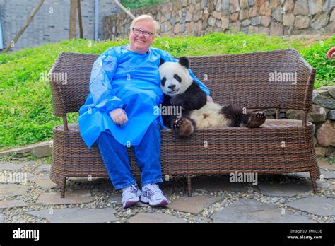 China, Sichuan province, Chengdu, Research Base of Giant Panda Breeding ...