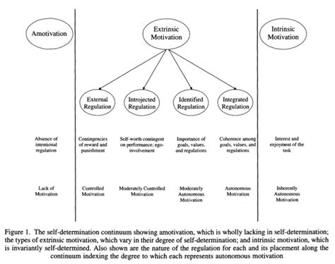 Self-Determination Theory and Online Education: Types of Motivation ...