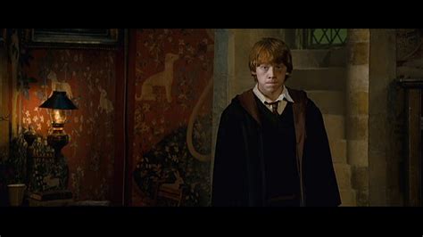 'OotP' Deleted Scenes - Harry Potter Photo (393034) - Fanpop