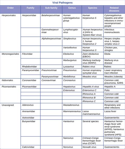 scenă Supliment Putere bacteria classification table Intact semiconductor local