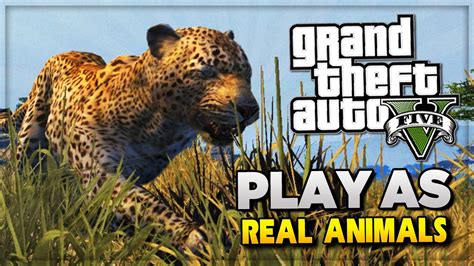 GTA 5 PS4 Next Gen - Play As Animals! GTA 5 Easter Eggs Tutorial & Peyote Locations (GTA V ...