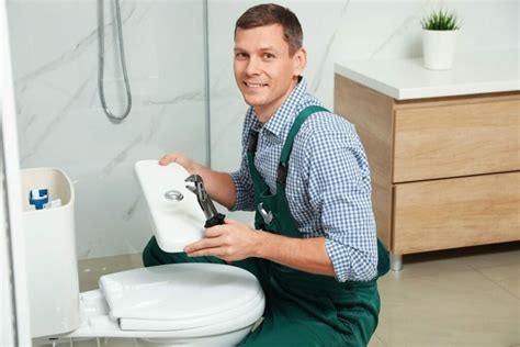 How To Make Toilet Tanks Smell Good? | Spruce Toilets