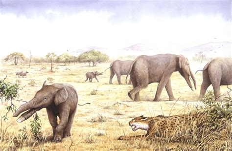 Prehistoric Elephants: Pictures and Profiles