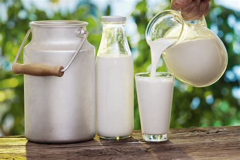 Raw Milk and Its Benefits for Your Skin | Top Natural Remedies