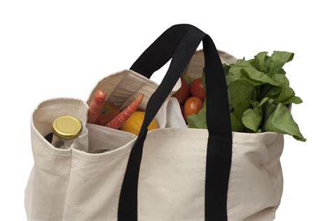 Canvas Grocery Shopping Bag | eCoexist