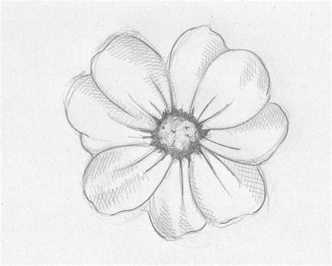 Flower Shading Drawing at GetDrawings | Free download