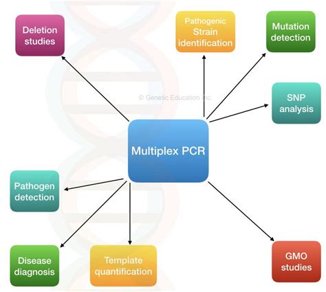 What is a multiplex PCR?