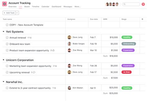 Asana Crm Template