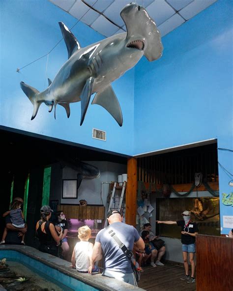 After 30 years at Sponge Docks, Tarpon Springs Aquarium relocating to ...