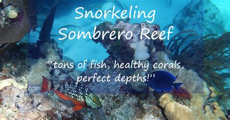 Snorkeling Sombrero Reef - A Super Treat! See Pictures