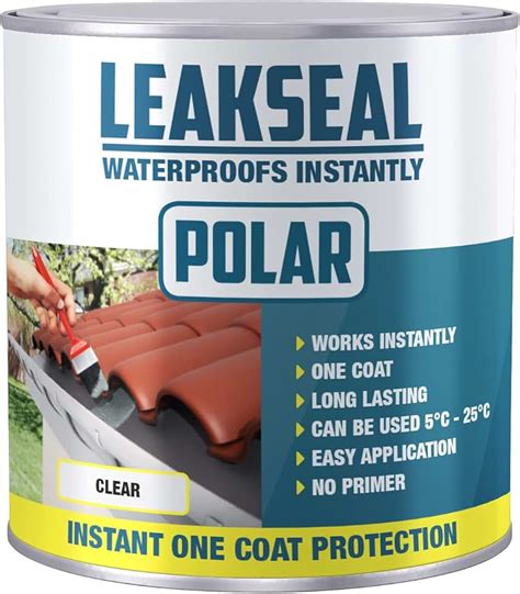 Amazon.co.uk: waterproof paint sealant