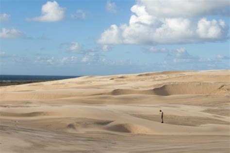 Fraser Island sand dunes photo by @kate_duffy | Fraser island, Sand island, Island