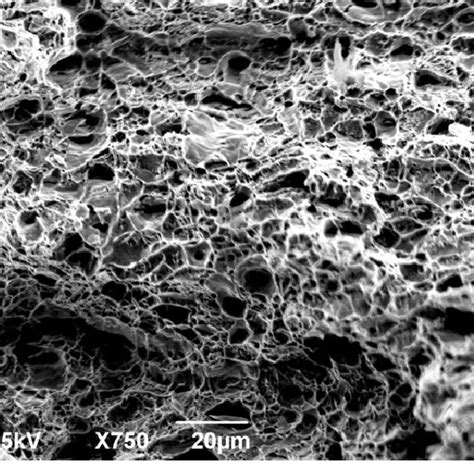 SEM micrograph of ductile fracture surface of specimen 7. | Download ...