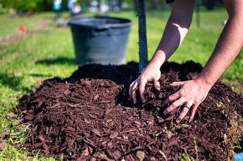 Five Benefits Of Mulching For Your Yard | P.O.P.S Landscaping