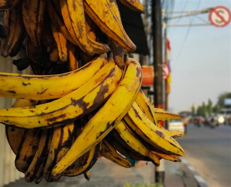 Tak Hanya Enak, Ini 7 Manfaat Pisang Tanduk Bagi Kesehatan