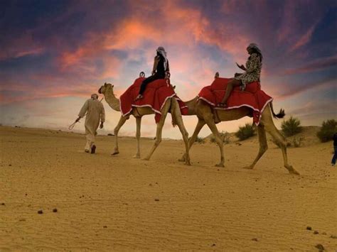 Arabian Nights Dream Desert Safari