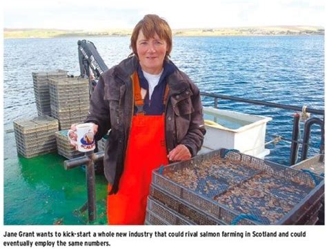 New possibilities in shellfish farming