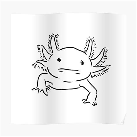 "Axolotl Black and White Line Art Drawing " Poster for Sale by cmoonfire | Redbubble