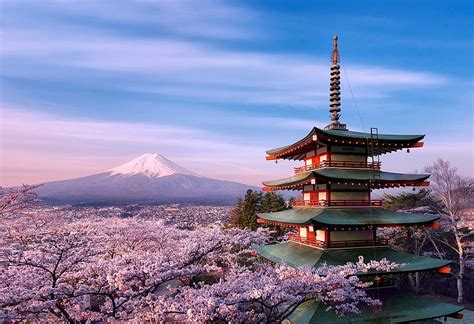 Rosa, Sakura, Flor, Luz, Pagoda, Japón, Monte Fuji, Volcanes, Fondo de ...