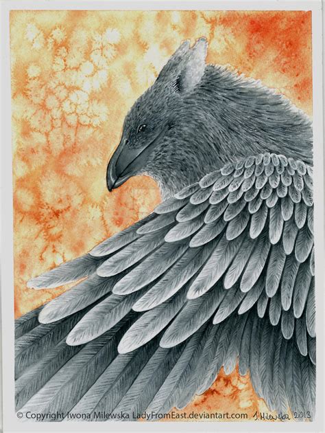 Black Gryphon by LadyFromEast on DeviantArt