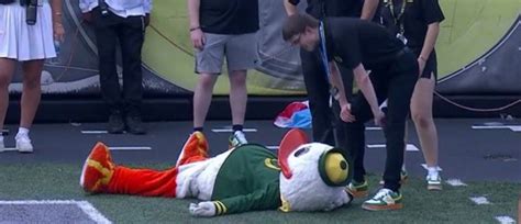 Oregon’s Mascot Had To Do 546 Push-Ups