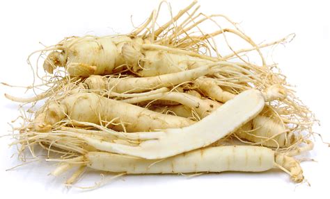 Ginseng Root Information and Facts