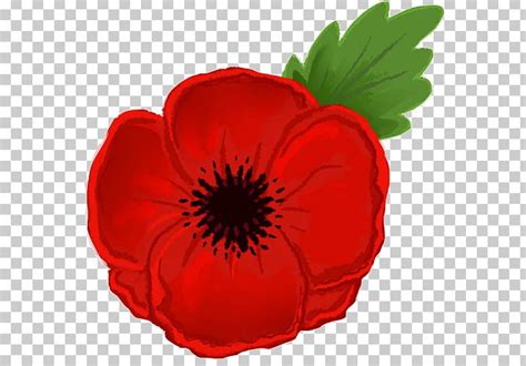 Remembrance Poppy Armistice Day PNG, Clipart, Anzac Day, Armistice Day, Bud, California Poppy ...