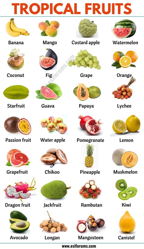 Tropical Fruits: List of 25+ Popular Tropical Fruits in English - ESL Forums | Fruit list ...