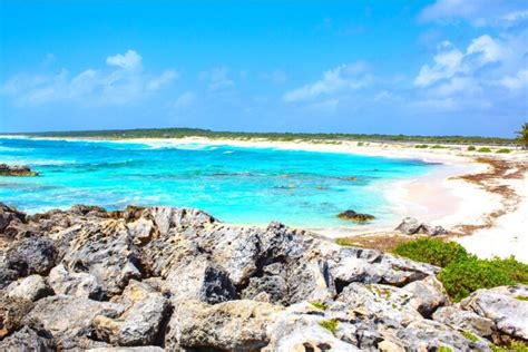 Best Snorkeling in Cozumel: 12 Amazing Spots for 2024