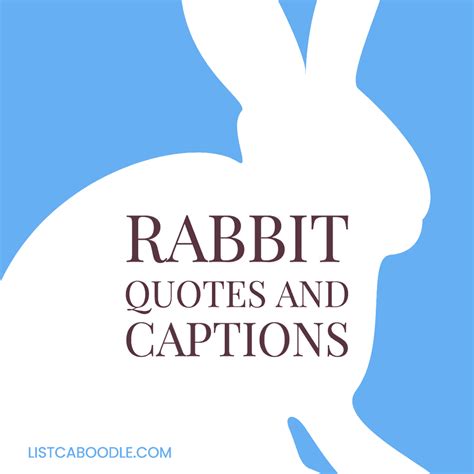 173 Rabbit Quotes and Captions That Will Have You Hopping