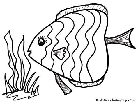 Tropical Fish Coloring Pages | Only Coloring Pages