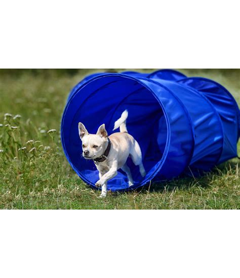 Tunnel d'agility - Articles pour chiens - Kramer Equitation