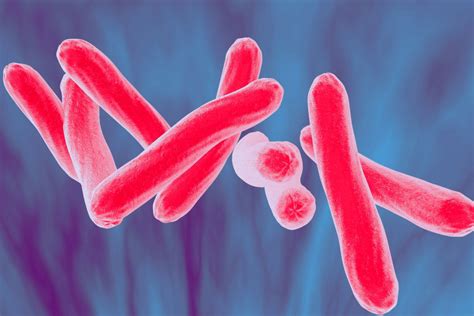 What is tuberculosis? - KNCV - Tuberculosefonds