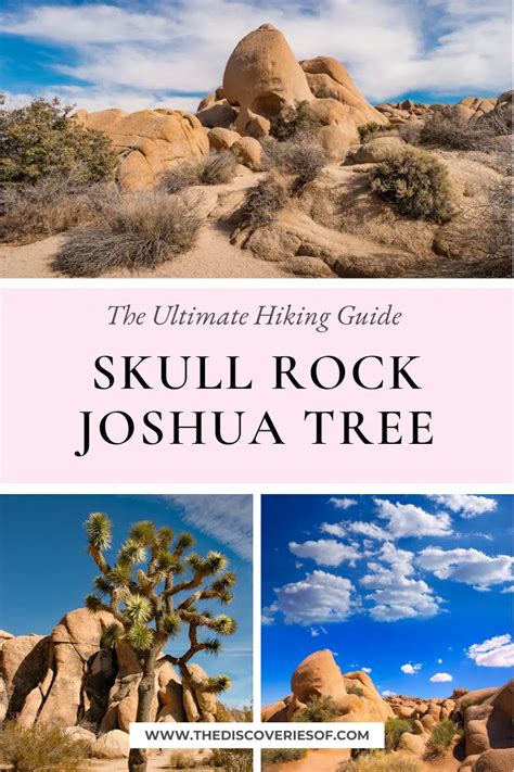 Skull Rock Joshua Tree: Hiking Guide — The Discoveries Of