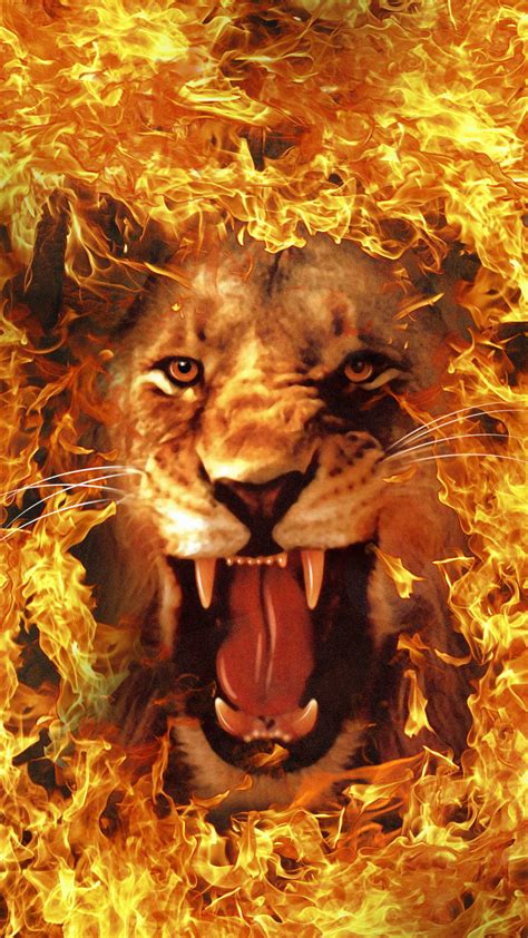 Download Roaring Fire Lion With Flame Border Wallpaper | Wallpapers.com