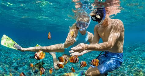 13 Honeymoon Snorkeling Trips for Every Couple