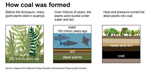 16.1: Types of Fossil Fuels and Formation - Biology LibreTexts