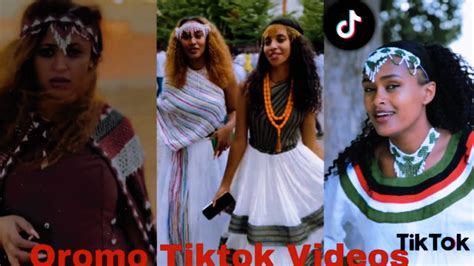 Sirba afaan oromoo haaraa 2023: Oromo music | Oromotiktok - YouTube