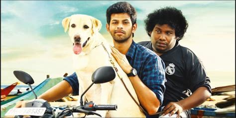 Puppy review. Puppy Tamil movie review, story, rating - IndiaGlitz.com