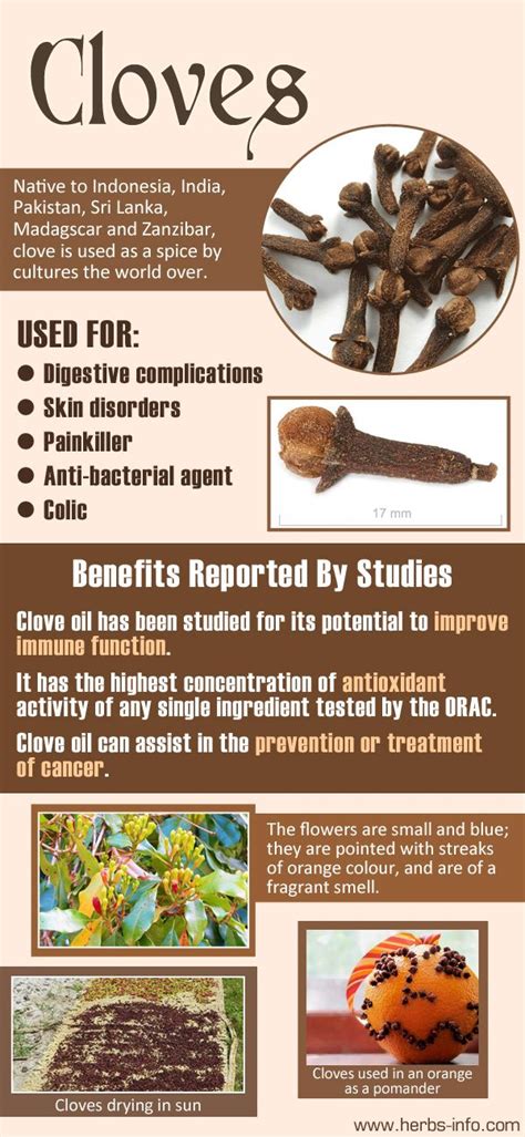 Uses and Benefits of Clove | Cloves benefits, Ayurvedic herbs, Herbal ...