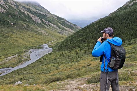 Hiking Alaska: Denali National Park – Wandering La Vignes