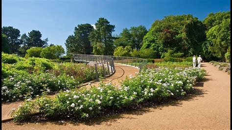 Savill Gardens Windsor Map | Fasci Garden