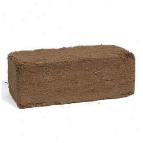 Coco Fibre Brick - DSRBC | GlobalGeckos.co.uk