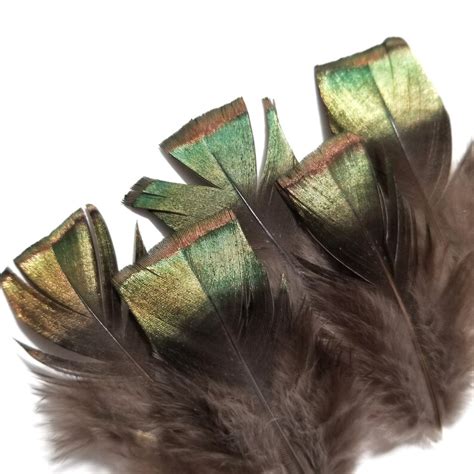 Ocellated Turkey Feathers 9 Pieces 1.5-2 Inches | Etsy