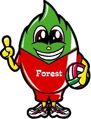 Japan Women: Forest Leaves Kumamoto Cease Operations