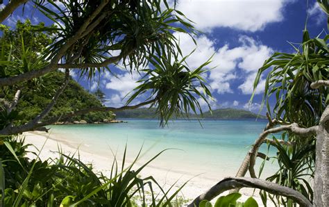 Isla de Iriomote (Iriomotejima) | Travel Japan - Organización Nacional de Turismo de Japón ...