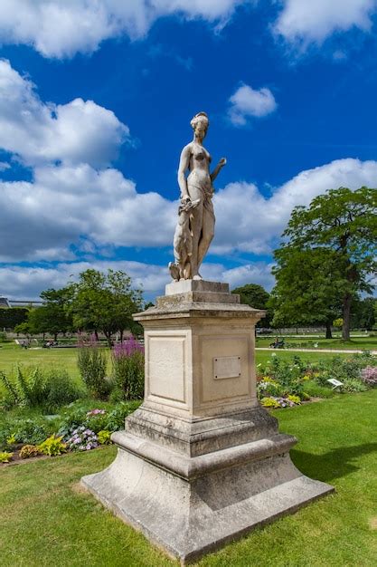 Premium Photo | Tuileries garden in paris