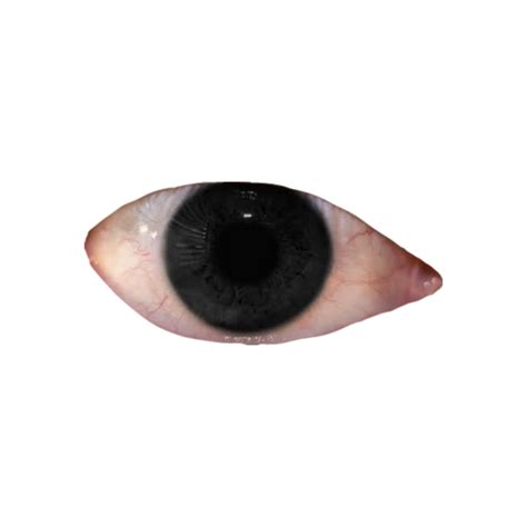 Weirdcore eye png - Download Free Png Images