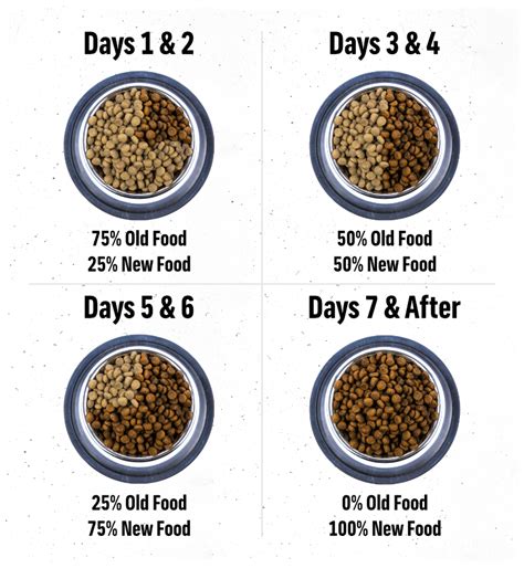 How to Make the Perfect Transition to a New Dog Food – Kahoots