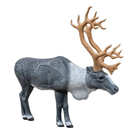 Rinehart Targets 45 Inch Realistic Woodland Caribou 3D Foam Body Crossbow Figure, 1 Piece - Kroger